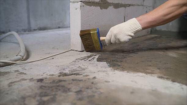 24/7 Emergency Wet Basement Repair experts in Advance, IN